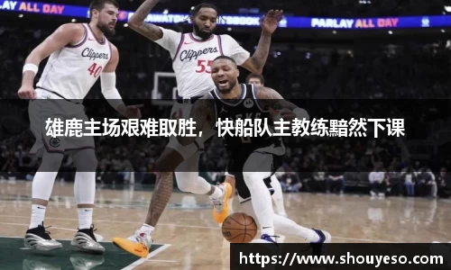 Bibo必博