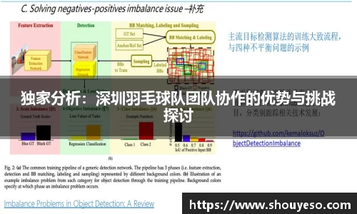 独家分析：深圳羽毛球队团队协作的优势与挑战探讨