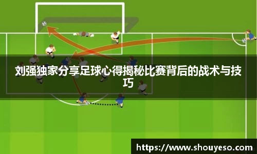 刘强独家分享足球心得揭秘比赛背后的战术与技巧