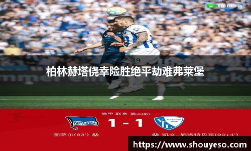 Bibo必博官网