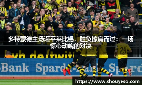 Bibo必博官方网站