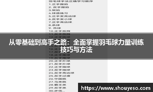 从零基础到高手之路：全面掌握羽毛球力量训练技巧与方法