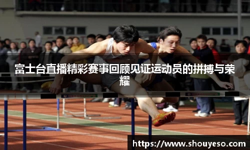 Bibo必博官网
