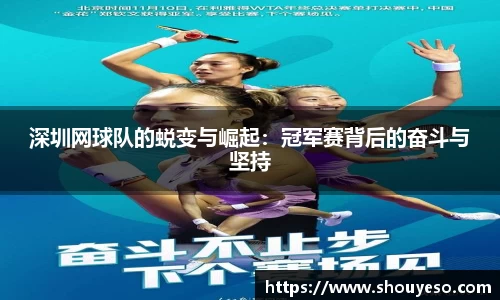 深圳网球队的蜕变与崛起：冠军赛背后的奋斗与坚持
