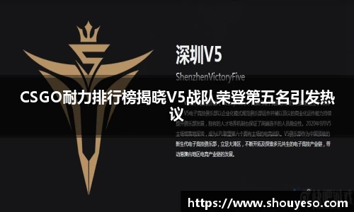 CSGO耐力排行榜揭晓V5战队荣登第五名引发热议