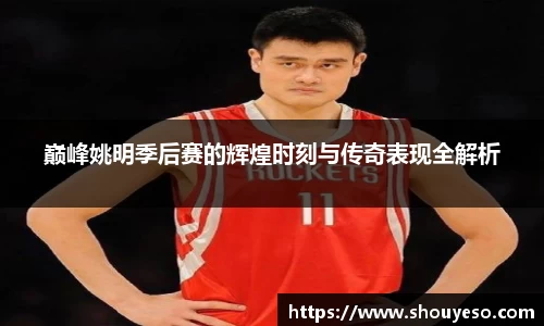 Bibo必博官方网站