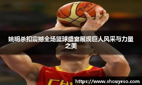 Bibo必博官网
