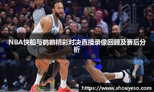 Bibo必博