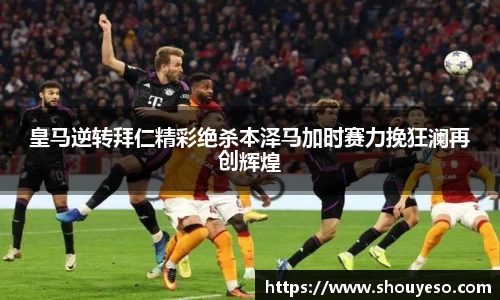 Bibo必博官网