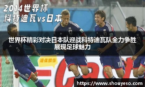 Bibo必博官方网站
