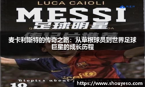 Bibo必博官网
