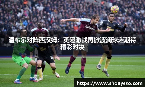 Bibo必博官网