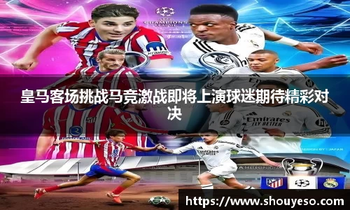 Bibo必博官网