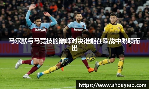Bibo必博官方网站