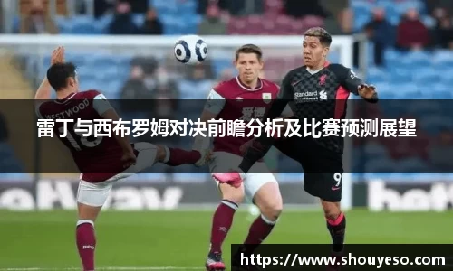 雷丁与西布罗姆对决前瞻分析及比赛预测展望