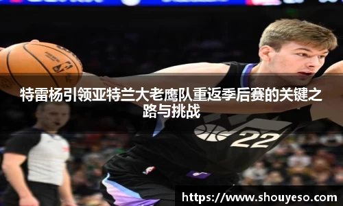 特雷杨引领亚特兰大老鹰队重返季后赛的关键之路与挑战