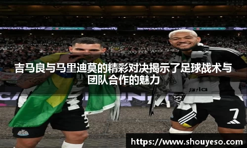 Bibo必博官网