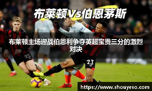 Bibo必博官方网站