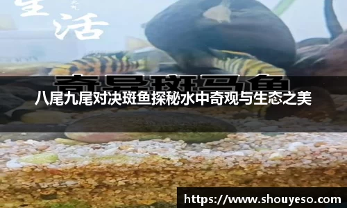 Bibo必博官方网站