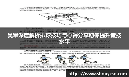 Bibo必博
