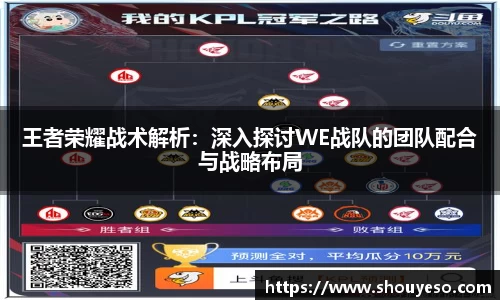 Bibo必博官方网站