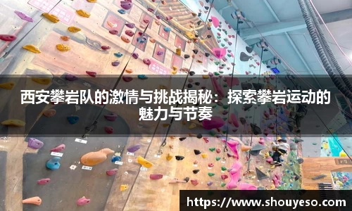 Bibo必博官网