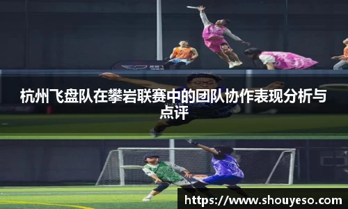 Bibo必博官网
