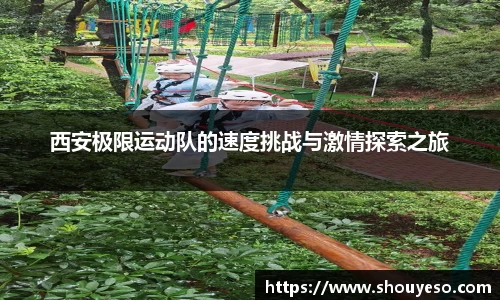Bibo必博官网
